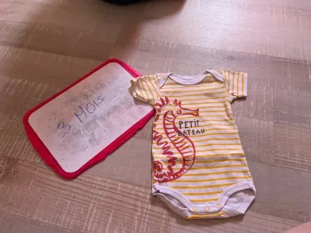 Bodies manches courtes petit bateau