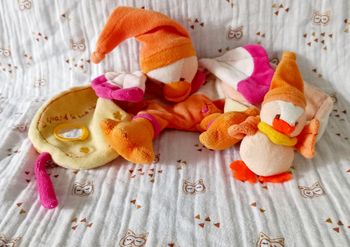 Doudou et Compagnie Canard livre
