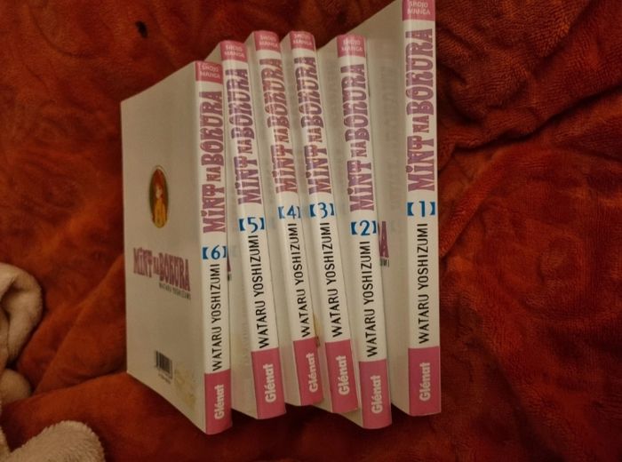 Manga mint na bokura integrale - photo numéro 3