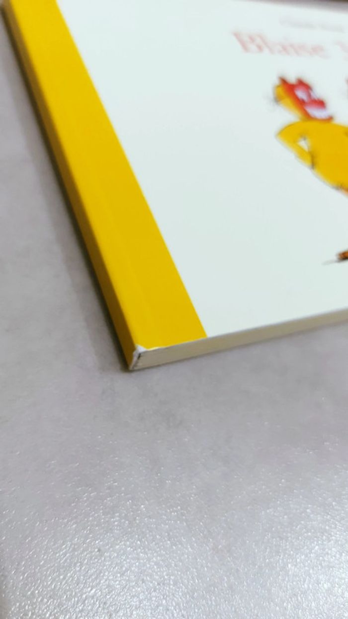 🌺 Livre (école des loisirs) : Blaise 3 en 1 - photo numéro 5