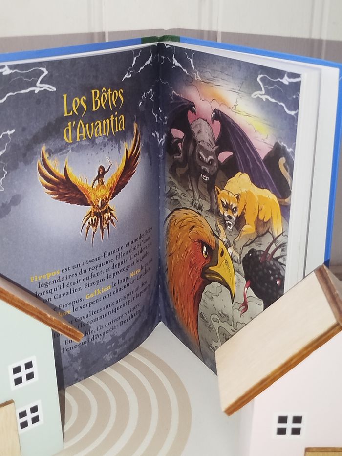 📚 Bibliothèque Verte Les légendes d'Avantia - photo numéro 2