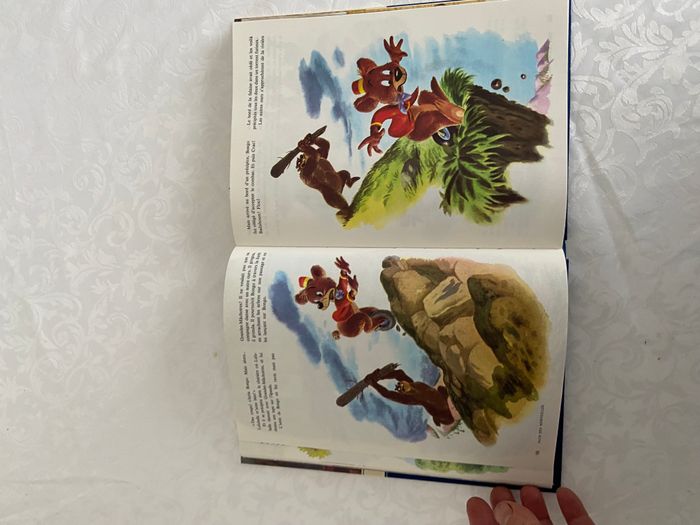 livre disney le monde enchanté pays des merveilles - photo numéro 9