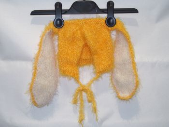 Bonnet lapin shooting photo