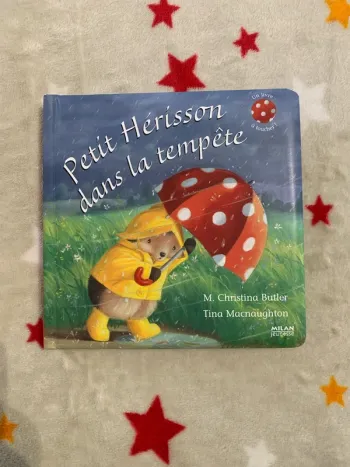 Petit Hérisson dans la Tempête – Petit format – Livre à toucher