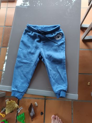 Pantalon koala