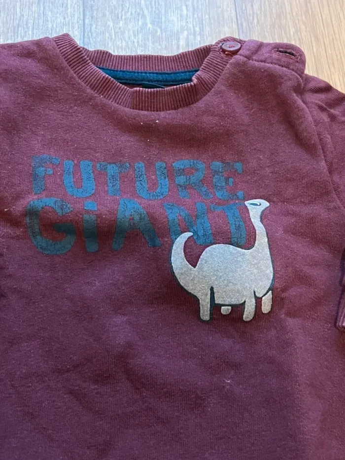 Sweat-shirt dino 12M - photo numéro 2