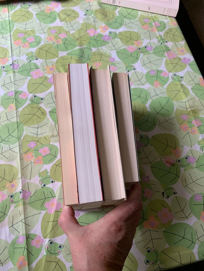 Lot romans - photo numéro 10