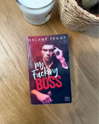Livre new romance My fucking boss