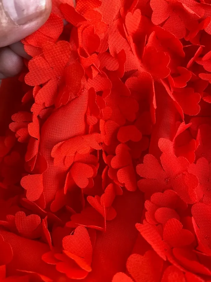 Robe ted Baker - photo numéro 5
