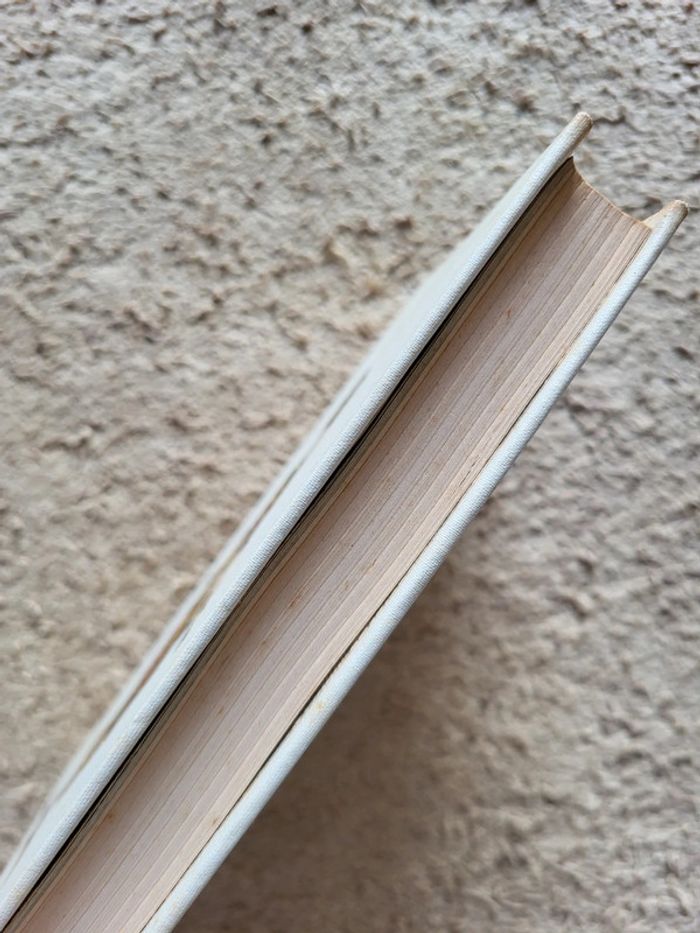 Livre ancien Les Trompeuses Espérances de Michel Déon - 1971 - photo numéro 3