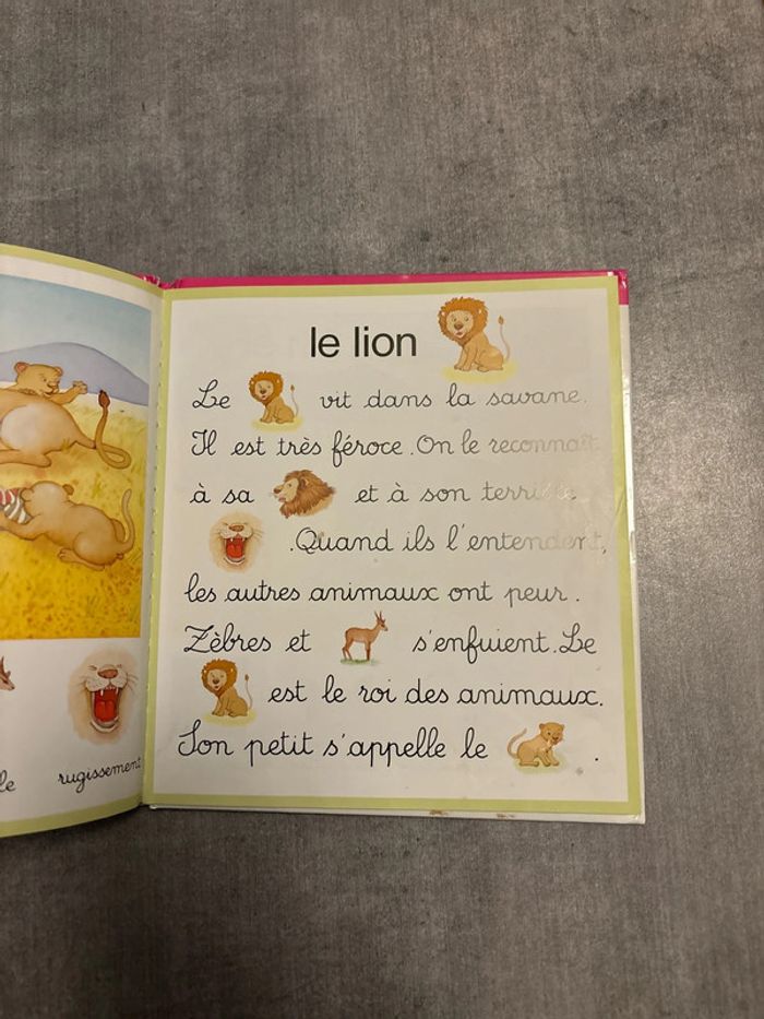 Livre, jeux de mots dans la savane - photo numéro 3