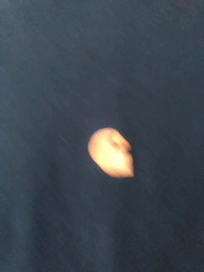 T shirt Carhartt.taille S - photo numéro 3