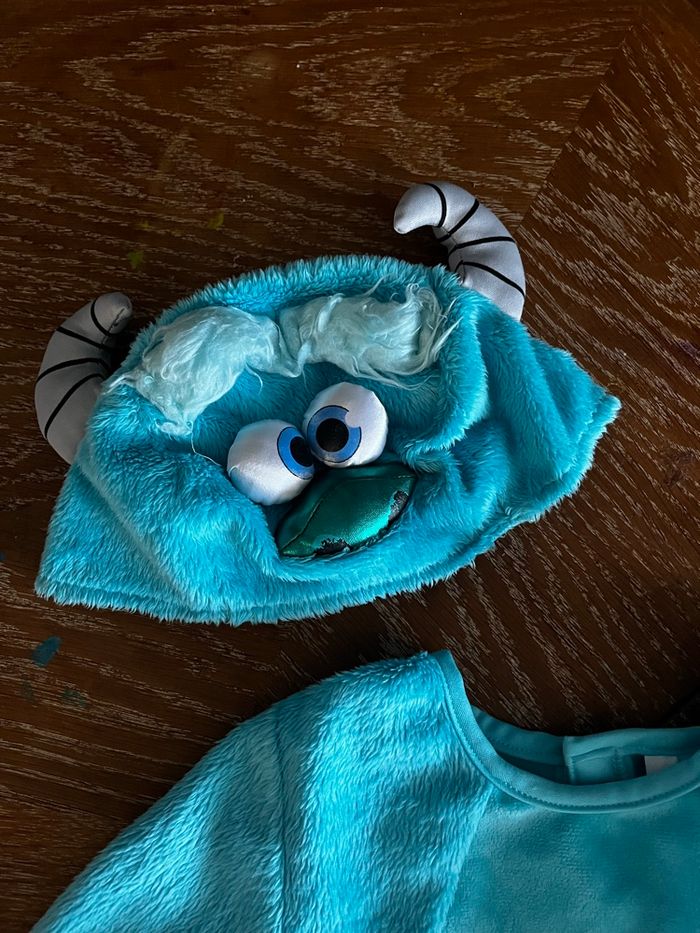 Costume de Sully - photo numéro 3