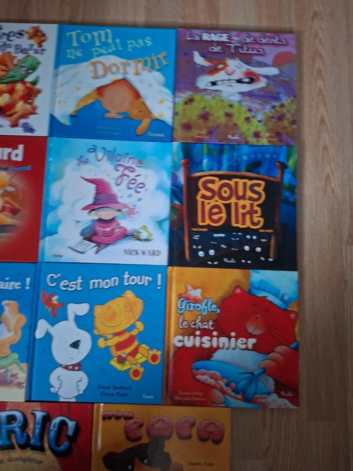 Livre - photo numéro 4