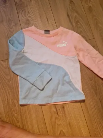 Sweet puma