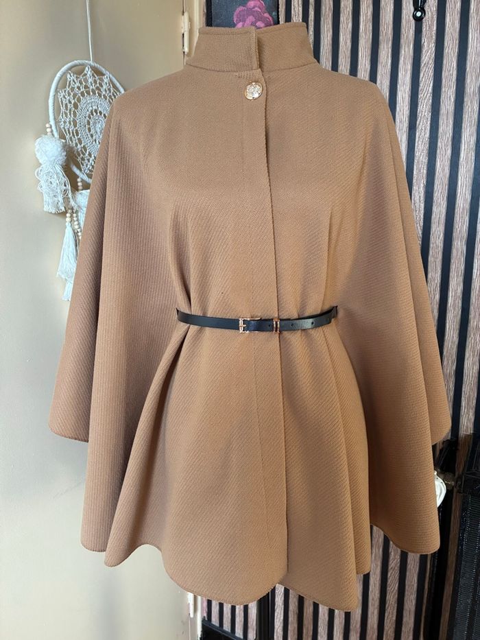 Cape camel - photo numéro 5