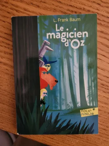Livre le magicien d'oz