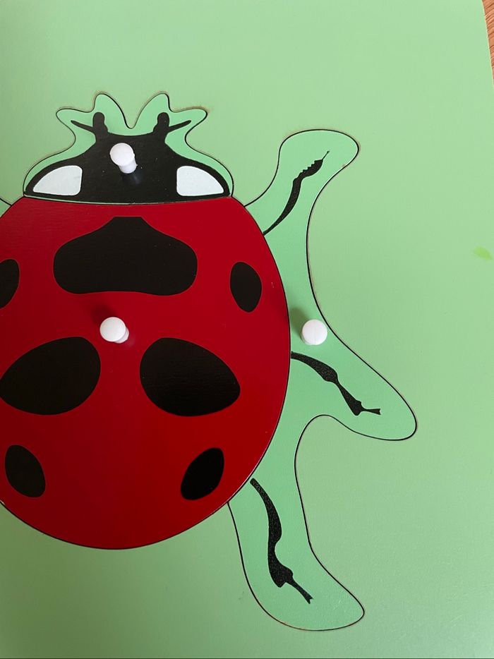 Puzzle Zoologie Montessori : la coccinelle - photo numéro 3