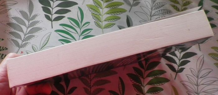 La nuit des chauves-souris de Jeff Rovin Ed. Albin Michel - photo numéro 4