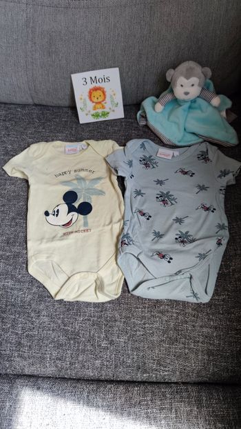 Bodies manches courtes 3 mois
