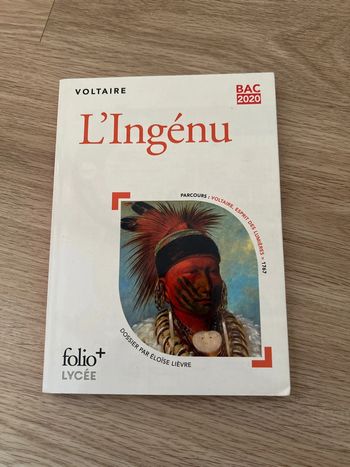 livre voltaire
