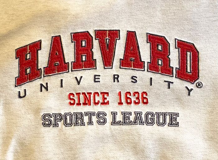 Sweat Harvard Beige Capuche Morceaux Lacets Noirs Décoration Cou Vêtement Tendance Mode Adolescents - photo numéro 3