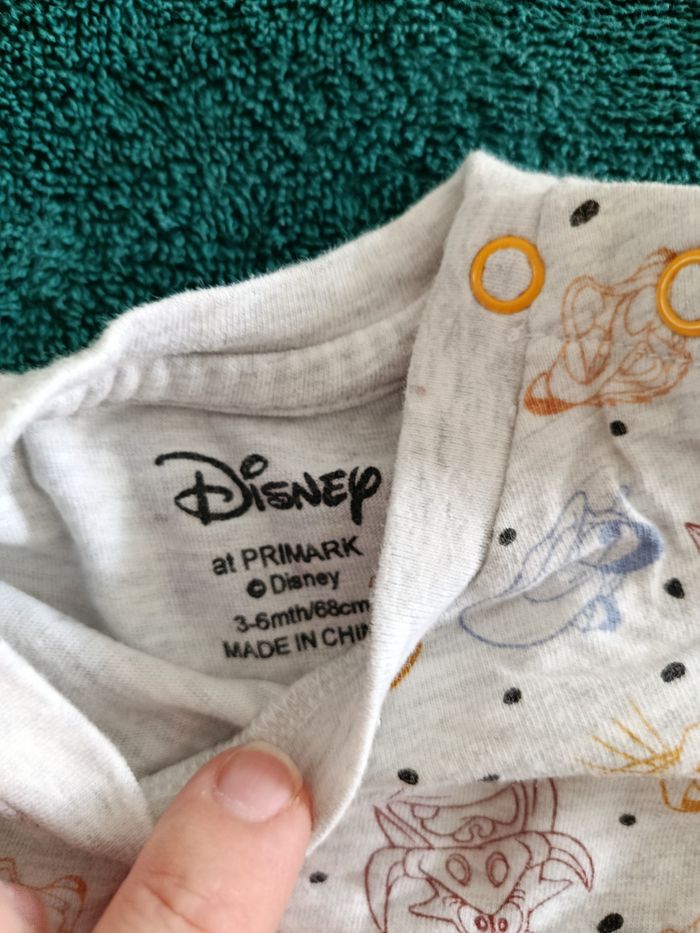 Tee shirt roi lion - photo numéro 3