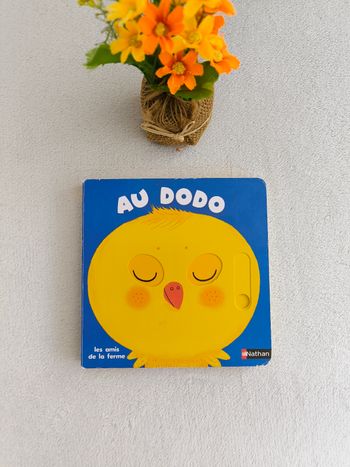 Livre Au dodo Nathan