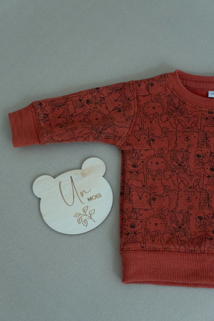 pull sweat polaire épais chaud 1 mois motif animal - photo numéro 6