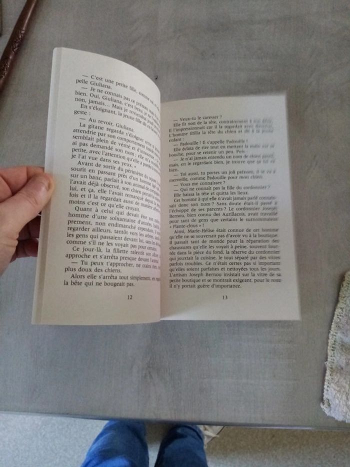 Le rêve de Marie-Hélise - photo numéro 6