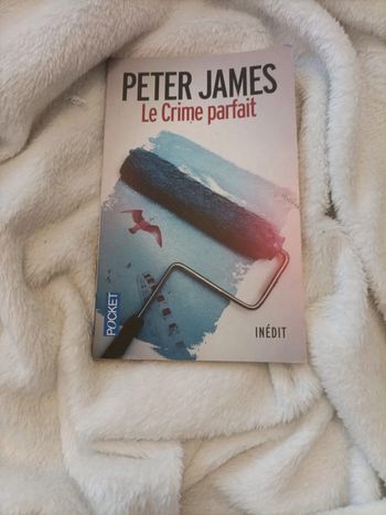 Le Crime parfait – Peter James