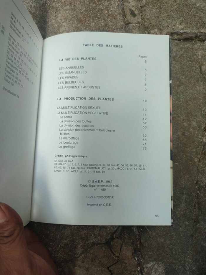 Livre greffes boutures et semis - photo numéro 9