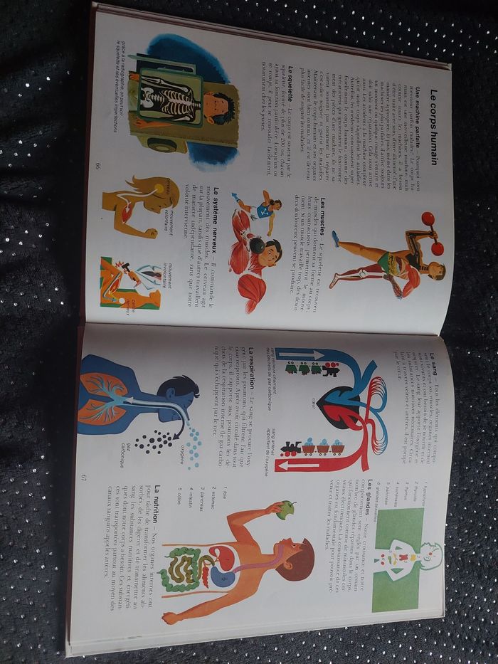 Le livre de la vie, petite encyclopédie - photo numéro 4