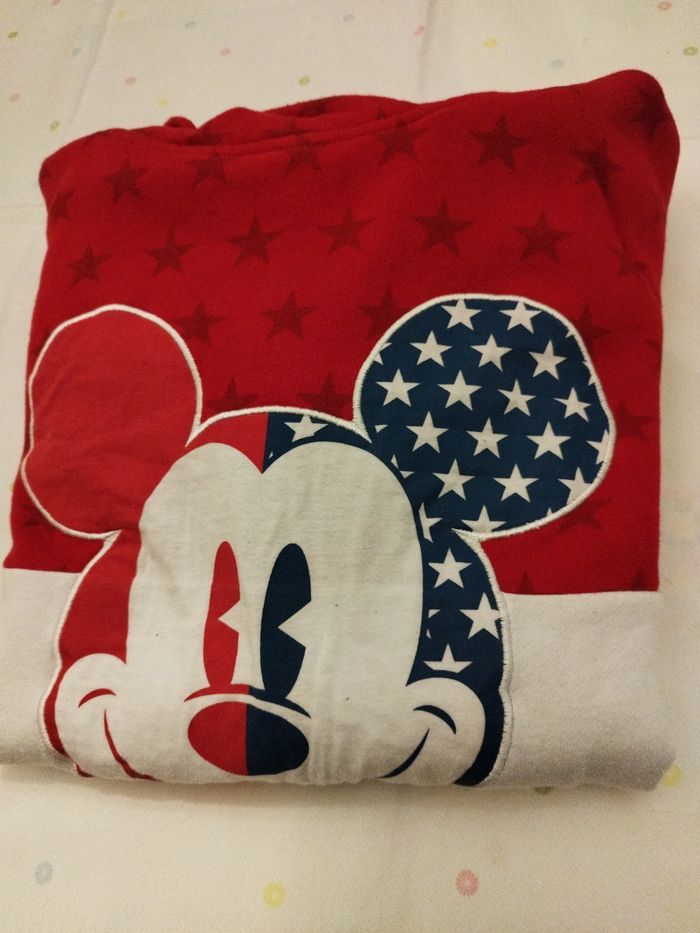 Pull homme Disneyland Paris L