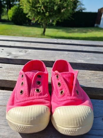 Basket Natural World