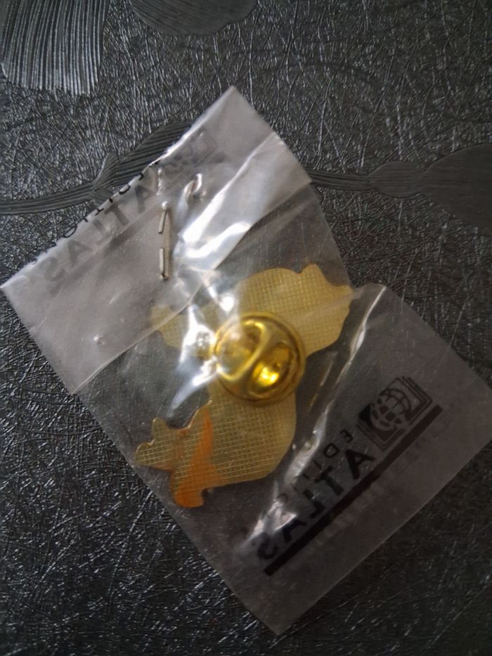 Pins - photo numéro 2