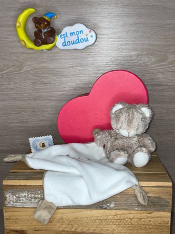 TEX135 doudou ours 🐻 tex