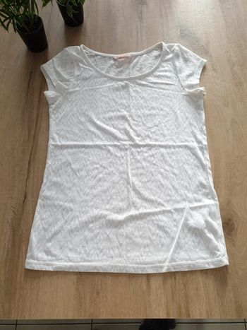 Tee shirt taille xs