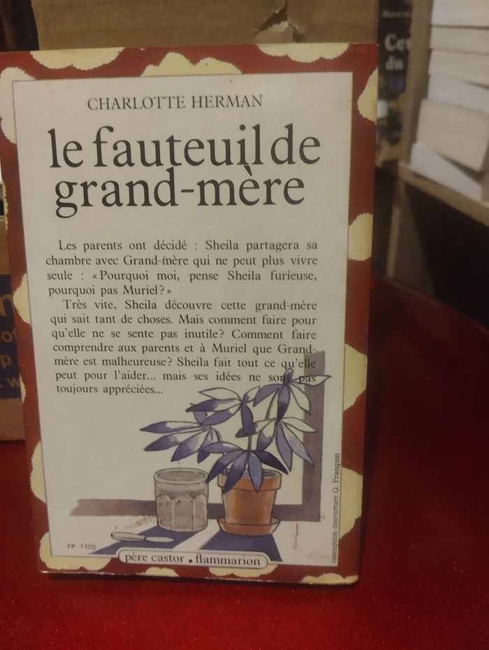 Le fauteuil de grand mère - photo numéro 2