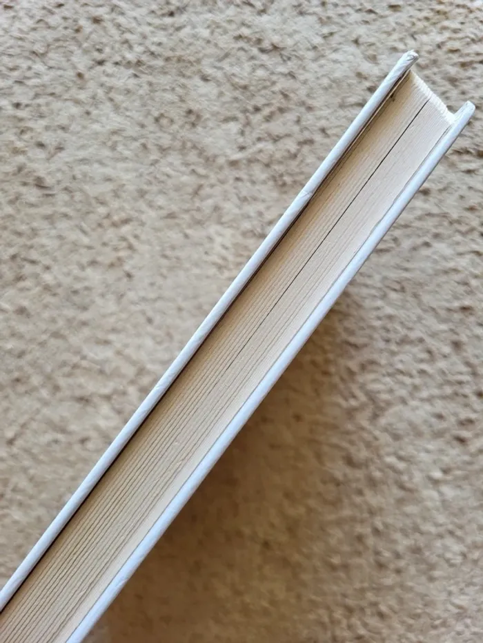 Livre enfant "Un jour de chance" de Céline Claire - photo numéro 3