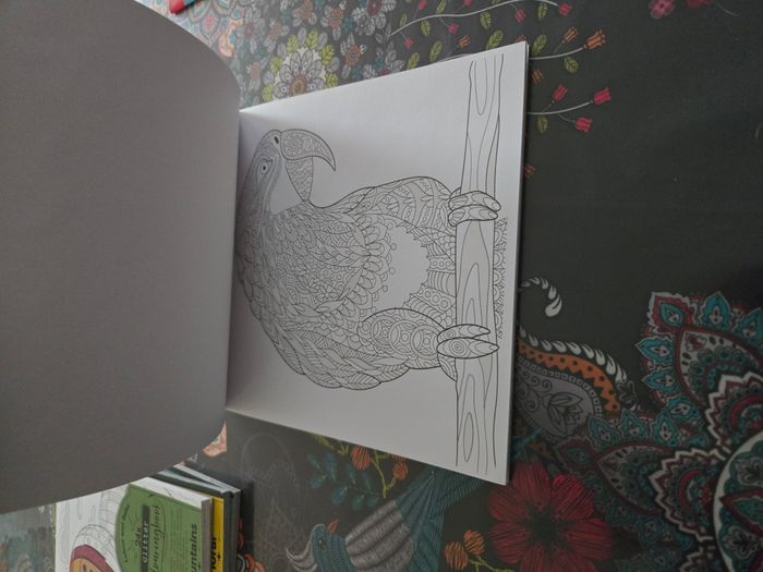 Coloriage Colour and relax - photo numéro 5