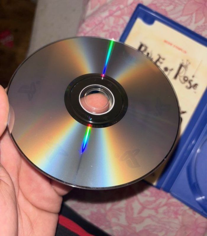 Rule of rose - photo numéro 3