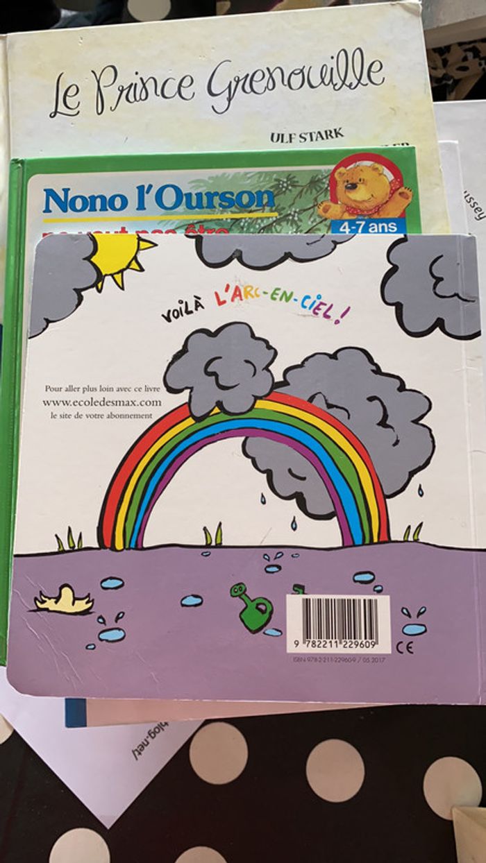 Livre la graine d’arc-en-ciel - photo numéro 6