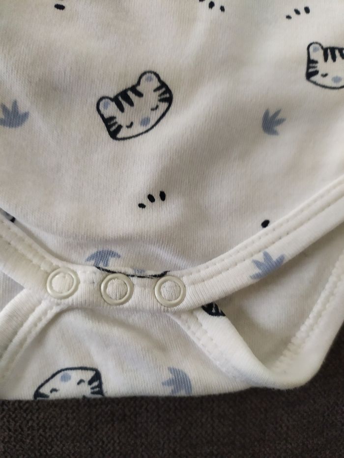 Body - photo numéro 3