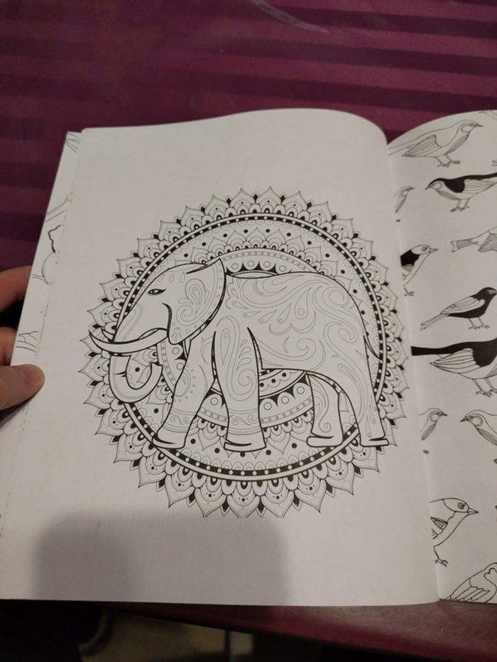 Carnet créatif 100 coloriage - photo numéro 15