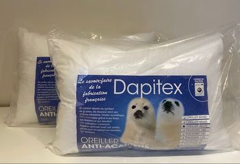 Dapitex 2 oreillers 45x70 cm 🇫🇷 Anti acariens