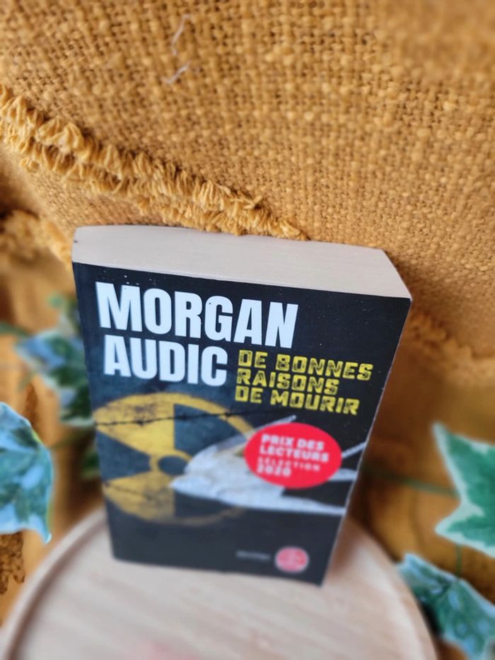 Livre "De bonnes raisons de Mourir" de Morgan Audic - photo numéro 2