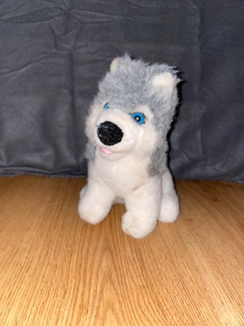 Petite peluche chien husky