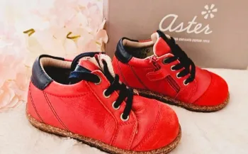 Bottines Chaussures cuir Zip Aster T23