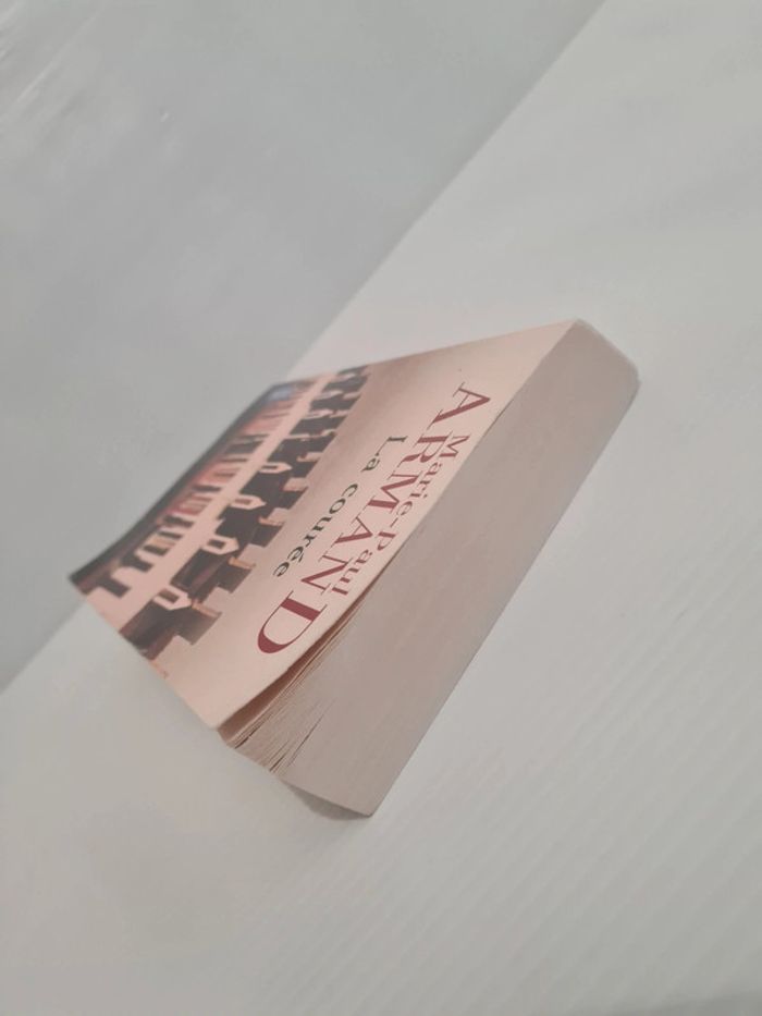 Roman "La courée" de Marie-Paul Armand - photo numéro 6
